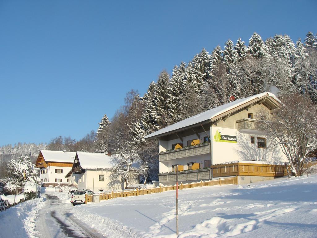 Drei Tannen Hotel Bodenmais Exterior foto